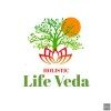 Holistic Life Veda Healing Village